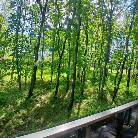 Apartmán One